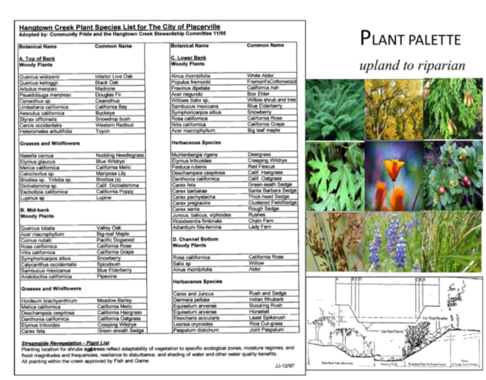 Plant Palette Upland to Riparian Placerville Petals Community Pride Volunteers Archives Josette Johnson http://www.josettejohnson.com