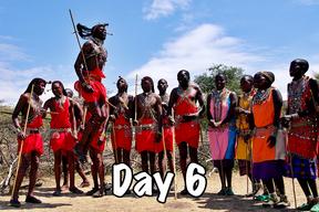 taasa africa tanzania safari wild animals