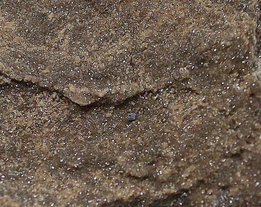 Galena crystal - Flamboro Quarry, Ontario, Canada