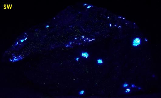 fluorescent SCHEELITE, QUARTZ, CLINOZOISITE - Trumbull (Old Mine Park), Fairfield County, Connecticut, USA