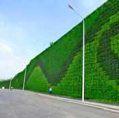 Green Wall UAE