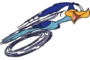 alt="animated image of a road runner bird in motion"