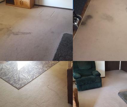 Customer service in your carpet cleaning business