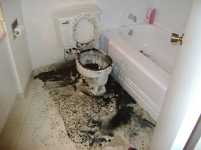 A toilet that overflowed in a house in Sarasota and made a total mess,
