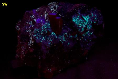 WULFENITE with fluorescent FLUORITE, ARAGONITE, Red Cloud Mine, Silver District, Trigo Mountains, La Paz County, Arizona, USA