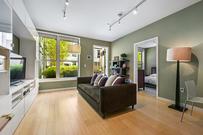 Living room and window
