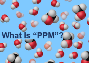 What is PPM?