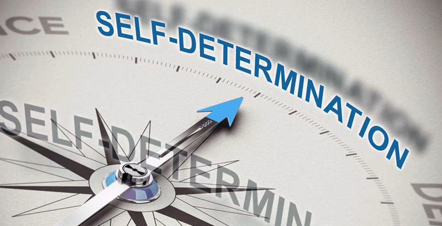 http://www.nyselfd.org/ image of self determination