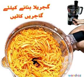 food processor food factory in pakistan at best price