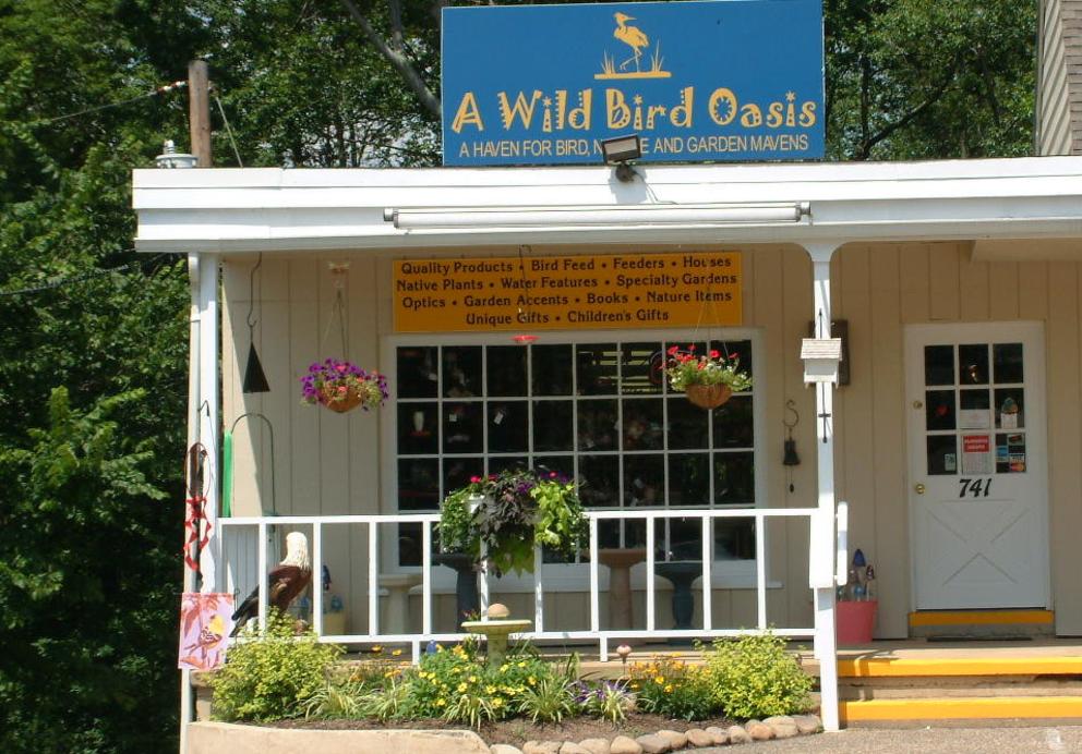 A Wild Bird Oasis