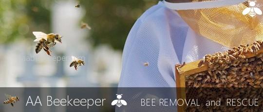 Santa Monica Bee Removal Santa Monica Live Bee Removal