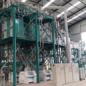 maize milling plant