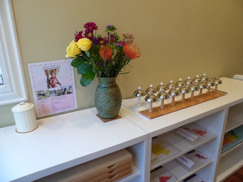 Terra Montessori School - Home