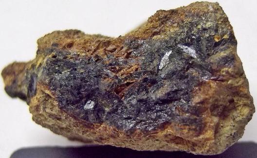 VIVIANITE with SIDERITE - Raccoon Creek, Mullica Hill, Harrison Township, Gloucester County, New Jersey, USA - ex Rutgers Geology Museum