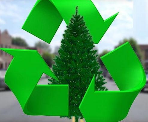 CHRISTMAS TREE REMOVAL