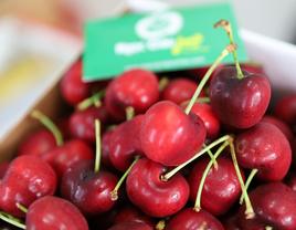 Cherry đỏ Mỹ