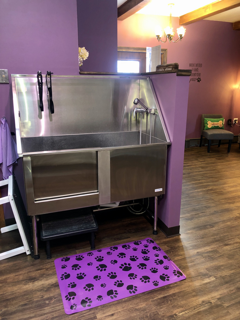 West Bend Animal Hospital Veterinarian Dog Grooming Dog Boarding