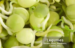 Legumes