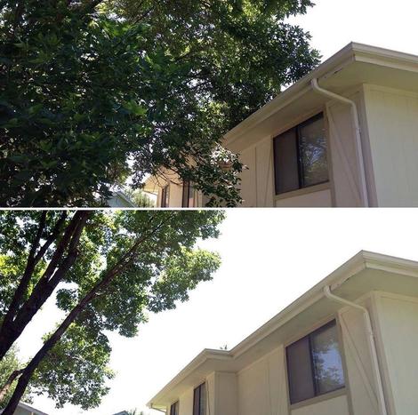 A before and after of maintenance tree pruning to elevate branches off of a roof for an Omaha NE customer