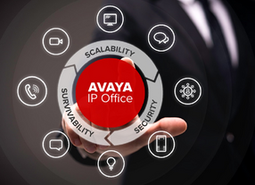 Avaya Security