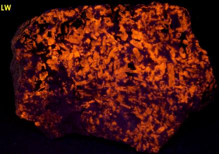 fluorescent Sodalite Aegirine Acmite - Poudrette quarry (Demix quarry; Uni-Mix quarry; Desourdy quarry; Carrière Mont Saint-Hilaire; MSH), Mont Saint-Hilaire, La Vallée-du-Richelieu RCM, Montérégie, Québec, Canada