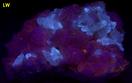 DOLOMITE with fluorescent CALCITE - Saint-Eustache Quarry (Carriere et pavage Saint-Eustache; Sainte-Eustache quarry; Mathers Quarry), Sainte-Eustache, Deux Montagnes RCM, Laurentides, Quebec, Canada - ex Albert Sebela - for sale