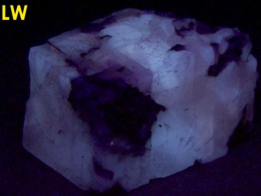 fluorescing CALCITE with LAUMONTITE - Churchville Quarry (Davis Quarry Company Inc.), Churchville, Hardford County, Maryland, USA