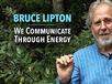 YouTube Bruce LIpton
