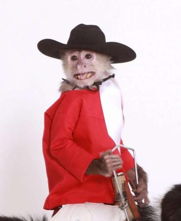 Whiplash The Cowboy Monkey – Dinosaur Roundup Rodeo