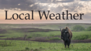 Local Weather