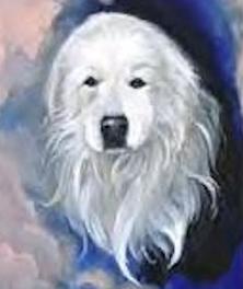 Wells Providence Great Pyrenees