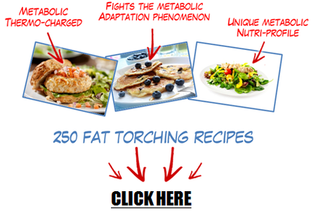 Fat Loss Recipes