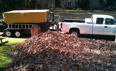 Leaf Removal / Curb Side