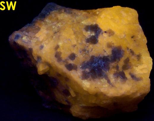 fluorescent WERNERITE SCAPOLITE MARIALITE MEIONITE, MUSCOVITE - Grenville Scapolite Prospect, Grenville-sur-la-Rouge, Argenteuil RCM, Laurentides, Quebec, Canada