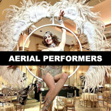 Aerial Performer Bartender