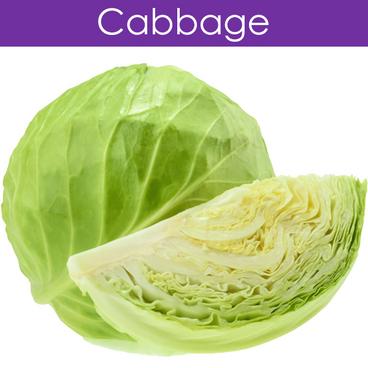 Cabbage