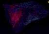 fluorescent ZUNYITE - Quartzsite, La Paz County (Yuma County prior to 1983), Arizona, USA - ex Barry Gerhet Jr, ex Paul Lazar - for sale