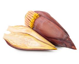 BANANA FLOWER