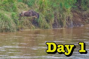 2025 Africa Safari Tanzania Serengeti TAASA wildlife