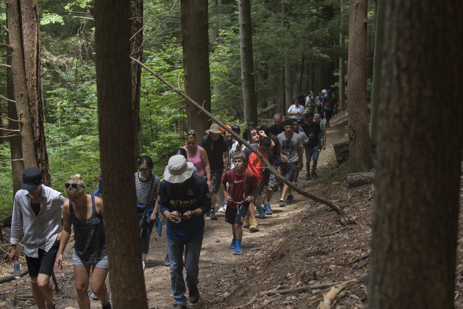 Hiking the Hills