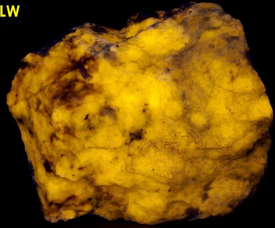 fluorescent SCAPOLITE WERNERITE Meionite-Marialite, TREMOLITE, Pyrite – Grenville Scapolite Prospect, Grenville-sur-la-Rouge, Argenteuil RCM, Laurentides, Quebec, Canada - ex Alan Delany SB#31-47
