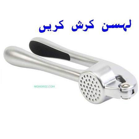 Garlic Crusher Mincer in Pakistan