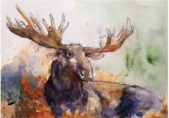 Moose