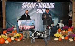 Vargas Dolce and Gabanna