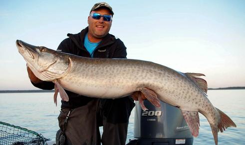 Outright Angling - Guided Leech Lake Fishing, Muskie Fishing Guide