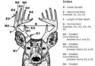 Kentucky Deer Season
