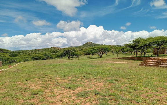FMNR in Action: A Visit to Mr Lesokoyo’s 50-Acre Farm