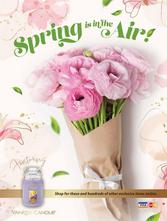 Gifts 'N Things Spring Fundraiser Brochure