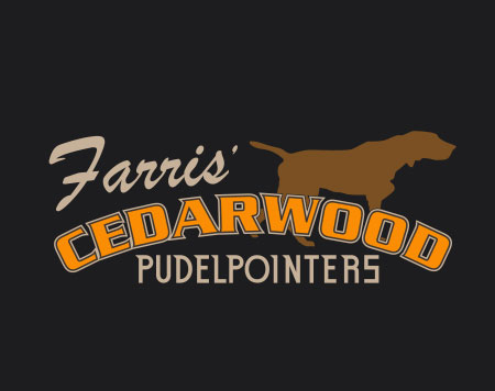 Cedarwood pudelpointers best sale