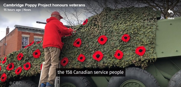 Cambridge Poppy Project Honours Veterans